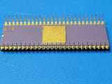(1 PC) AM29116DC AMD 52-PIN DIP Gold CERAMIC Rare Vintage COLLECTIBLE