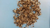 (5 PCS) SS100 SIEMENS  N-Ch Enhancement Transistor