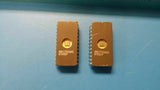 (15 PCS) AM1702ADC AMD IC,EPROM,256X8,MOS,DIP,24PIN,CERAMIC
