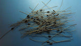 (20PCS) A5S138 AERTECH PIN DIODE 100V