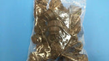 (5 PCS) 182649-1 Tyco Circular Conn CPC Plug Size 17, 14 Positions Free Hanging