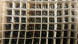 (5PC) RL875-101K JW MILLER 100µH Unshielded Wirewound Inductor 890mA 280mOhm 10%