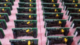 (44 BRDS) ACT NETWORKS CIRCUIT BOARD 100-7953-001 REV:A (LTC1321CSW, 6 PER BRD)