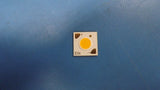 (5PCS) BXRH-40E1000-C-23 LED COB H6 ARR NEUT WHT SQ 4000K
