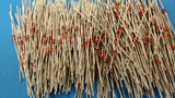 (25PCS) 1N4743A NSC/MOT DIODE ZENER 13V 1W DO41 NSC/Mot