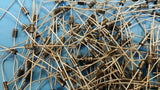 (10 PCS) P6KE62A GI Diode TVS Single Unidirectional  53V 600W 2-Pin DO-15