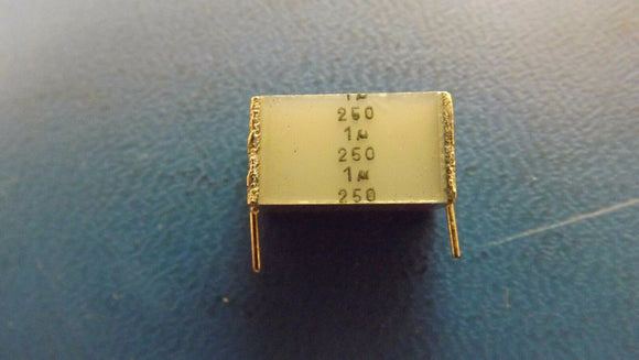 (10PCS) B32562J3105K Cap Film 1uF 250V PET 10% Radial 15mm 125°C