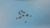 (50 PCS) BC846 NXP Trans GP BJT NPN 65V 0.1A 3-Pin TO-236AB