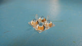 (5 PCS) 10611 CARLCO 19.9mm LED Lens 10mm QUAD Optic Plain Square Flange