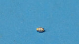 (1 PC) UM7204A 5961-01-124-0049 Diode Semiconductor Device